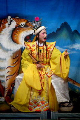 Faces of Chinese Opera 325.jpg
