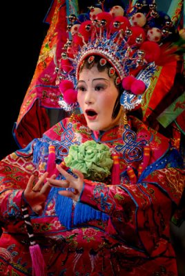 Faces of Chinese Opera 329.jpg