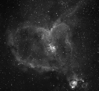 IC 1805 La Nbuleuse du Coeur - The Heart Nebula