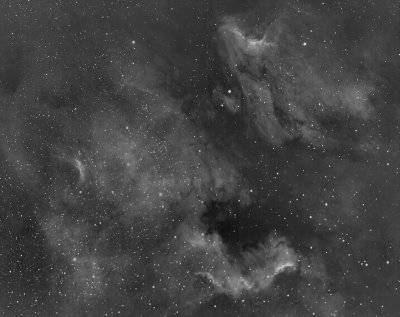 NGC 7000 et IC 5070 en H alpha