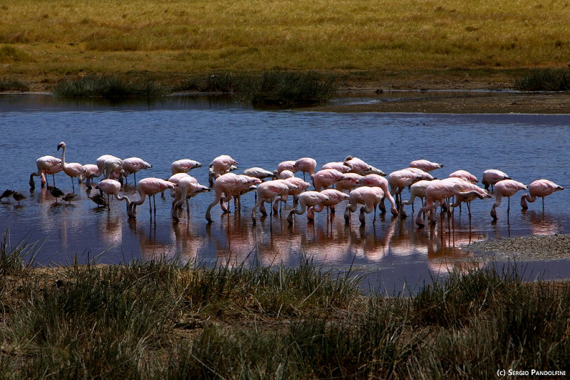 Ngorongoro Park