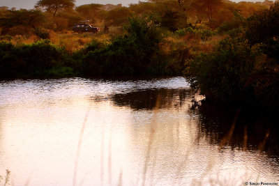 Serengeti Seronera