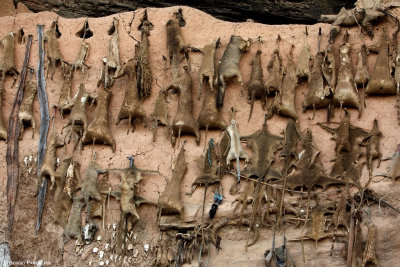 Kondougumu: casa dell'Ogon: i muri ricoperti da pelli e crani d'animali e oggetti rituali