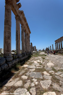 Apamea - La via colonnata