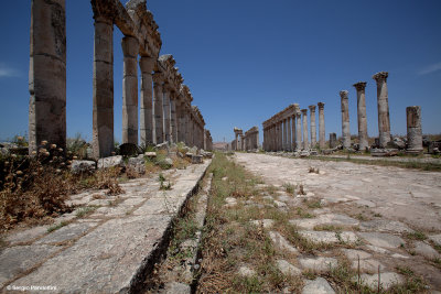 Aleppo - Apamea - Crac dei Cavalieri - Sergiopolis