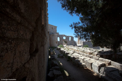 Aleppo - San Simeone