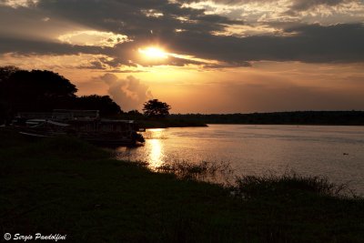 River Nile - Murchison Falls Park