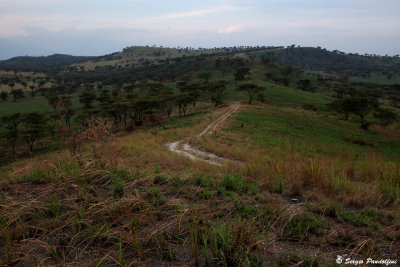 Mweya - Queen Elisabeth National Park