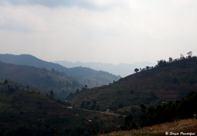 Around Kabale - Virunga Mountains