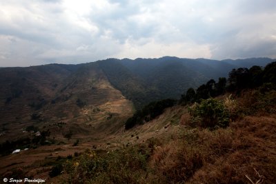 Around Kabale - Virunga Mountains