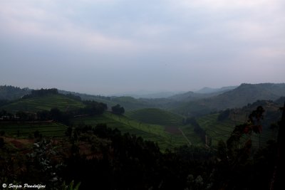 Lake Kivu- Kibuye