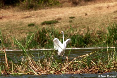 Queen Elisabeth National Park - Kazinga Channel