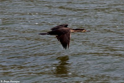 Queen Elisabeth National Park - Kazinga Channel