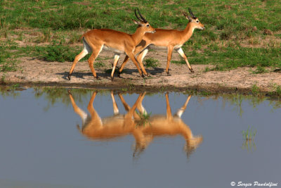 Murchison Falls Park