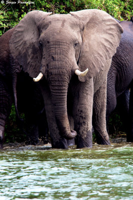 Queen Elisabeth National Park - Kazinga Channel