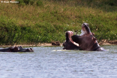 Queen Elisabeth National Park - Kazinga Channel