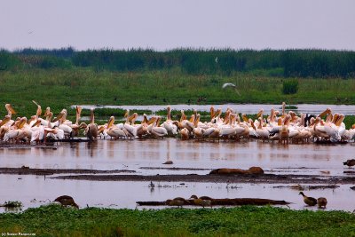 Manyara National Park