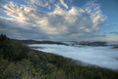 arkansas_spring
