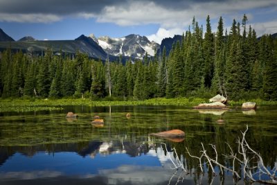 Colorado-12.jpg