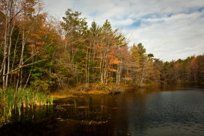 _MG_5384 as Maine Autumn Scene.jpg