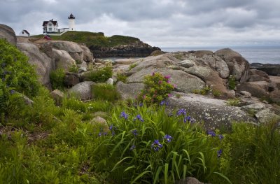 Best Nubble With Iris 0275 6-13-09 .jpg