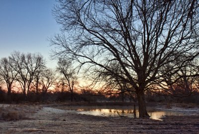 _MG_7432.jpg