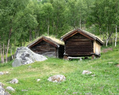 Torvtak