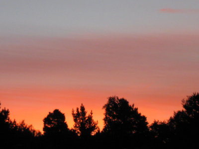 Midnight Sunset