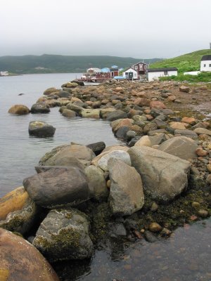 Coastline in Red Bay