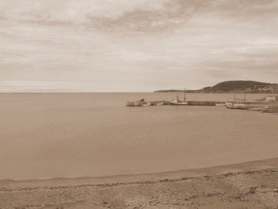 Newfoundland in Sepia
