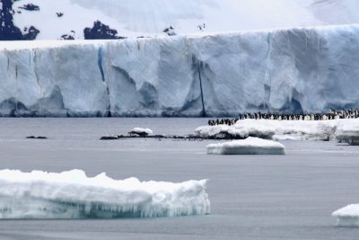 Antarctica 0024 Brown Bluff.jpg