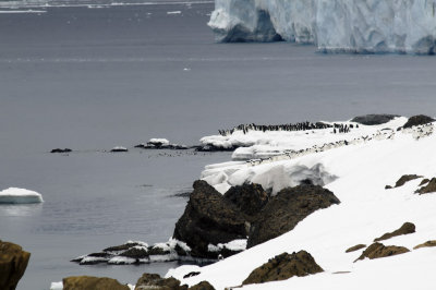 Antarctica 0028 Brown Bluff.jpg