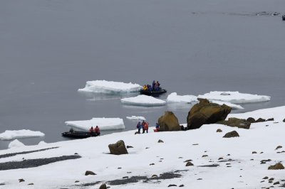 Antarctica 0035 Brown Bluff.jpg