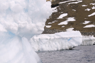 Antarctica 0038 Devil Island.jpg