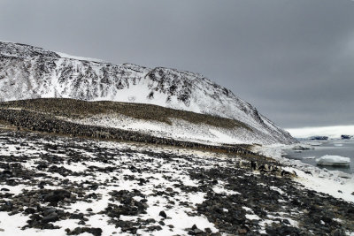 Antarctica 0077 Paulet Island.jpg