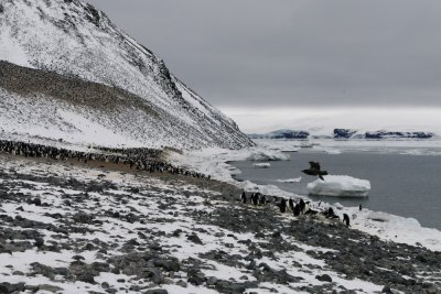Antarctica 0086 Paulet Island.jpg