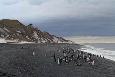 Antarctica 0104 Baily Head.jpg
