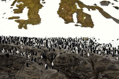 Antarctica 0115 Baily Head.jpg