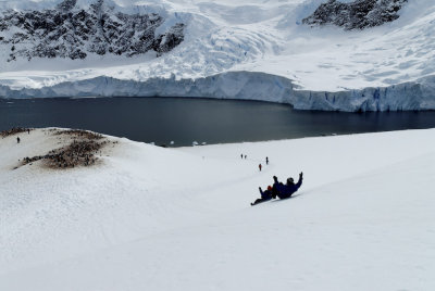 Antarctica 0147 Neko Harbour.jpg