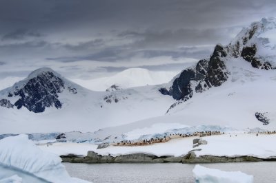 Antarctica 0174 Useful Islands.jpg