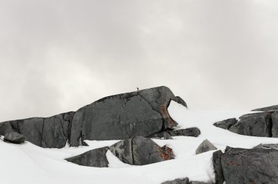 Antarctica 0192 Useful Islands.jpg