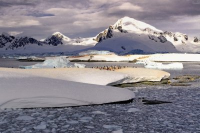 Antarctica 0205 Useful Islands.jpg