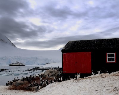 Antarctica 0225 Port Lockroy.jpg