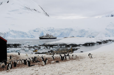 Antarctica 0230 Port Lockroy.jpg