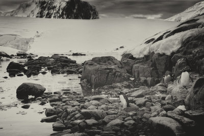 Antarctica 0233 Port Lockroy.jpg