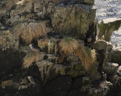 Falklands 0067 Stanley.jpg