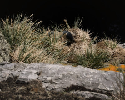 Falklands 0068 Stanley.jpg