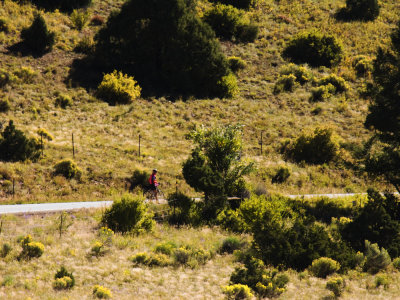 Ride -3.jpg