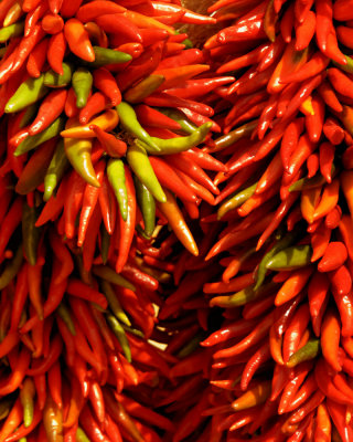 Santa Fe -19.jpg