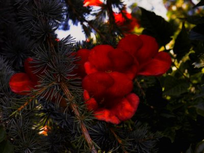 Santa Fe -38.jpg